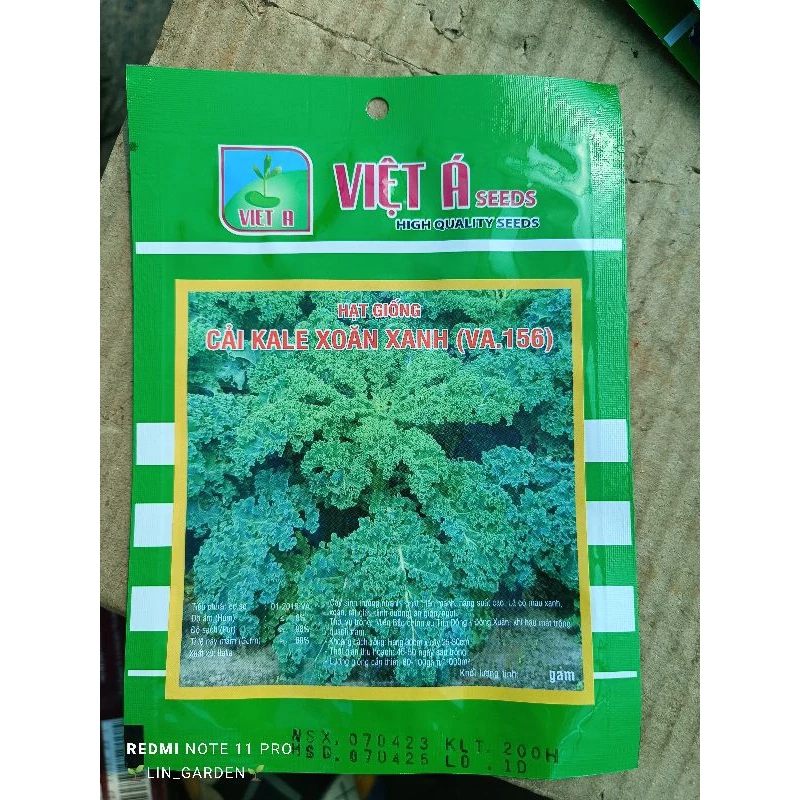 hạt giống cải kale ( kale xanh xoăn)