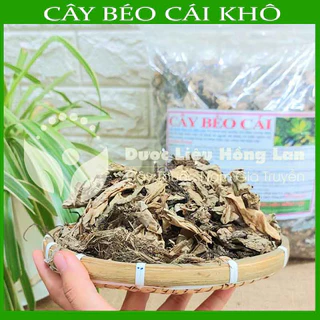 CÂY BÈO CÁI  khô sạch đóng gói 500g - congtyduoclieuhonglan