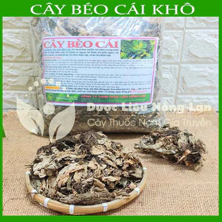 CÂY BÈO CÁI khô sạch đóng gói 1kg - congtyduoclieuhonglan