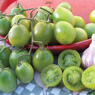 [Hạt giống Mỹ] Gói 5 hạt giống cà chua cherry nho xanh Sungreen - tỷ lệ nảy mầm 95%