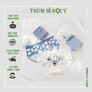 Combo 5 Quần Lót Cotton Thông Hơi Kháng Khuẩn Gấu Xanh -Trùm Sỉ Nội Y