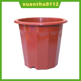 Chậu nhựa trồng ươm cây E230 (5 chậu) màu nâu hàng loại 1 dày đẹp(KT 19x16cm)