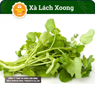 Hạt giống Xà Lách Xoong ( Gói 0,5 Gram ) - Nông Sản Vàng