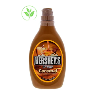 Sốt HERSHEY'S chai nhỏ, chai lớn 1,3kg vị socola, caramel