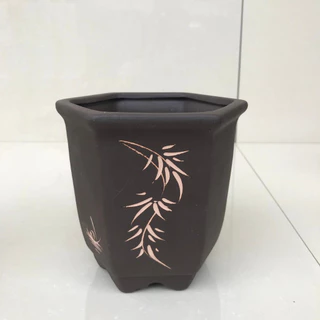 Chậu Lục giác trồng cây cảnh bonsai sen đá màu đen SP203