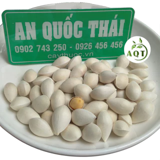 Bạch Quả Tươi Gói 250gram Hàng Ngon, Loại 1 Dùng Chưng Yến, Nấu Chè, Bồi Bổ Sức Khỏe, Tốt Cho Trí Não