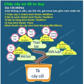 [Đồ dùng dạy học] Chậu cây sơ đồ tư duy