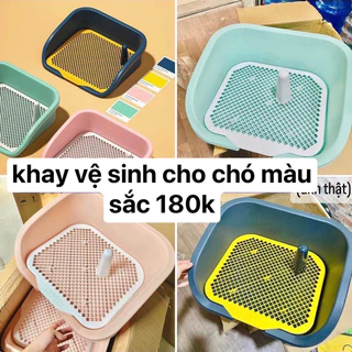 Khay vệ sinh cho chó có thành (Gửi Màu Ngẫu Nhiên)