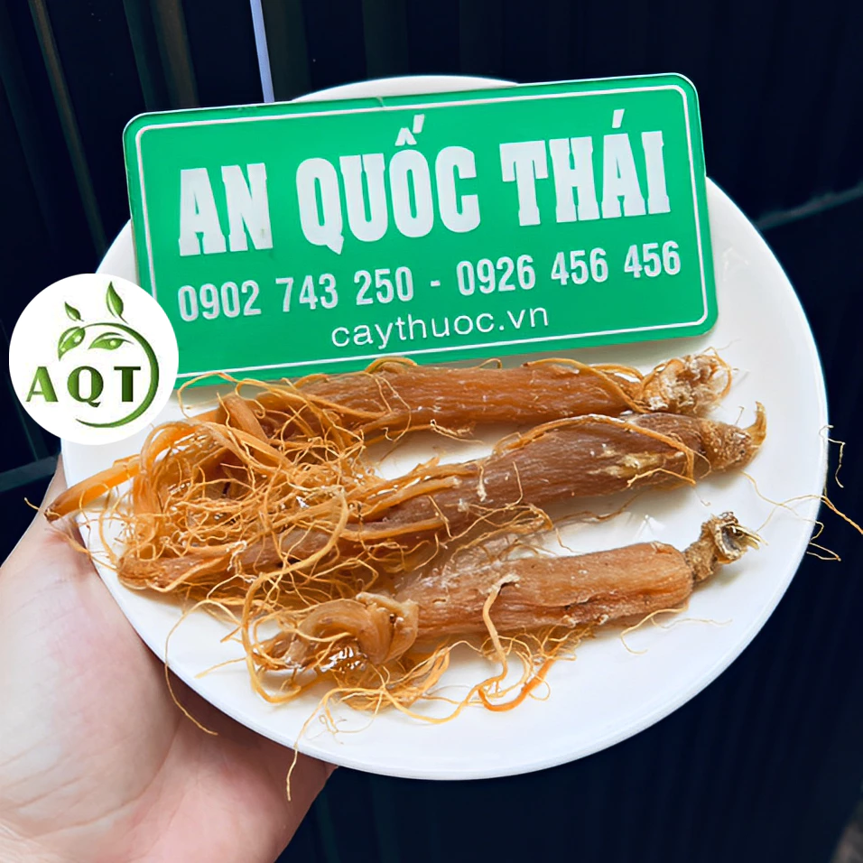 100g Hồng Sâm Khô Nguyên Củ 6 Năm Tuổi. Hồng Sâm Hàn Quốc Cao Cấp Chính Hãng Bồi Bổ Sức Khỏe, Tăng Tuổi Thọ