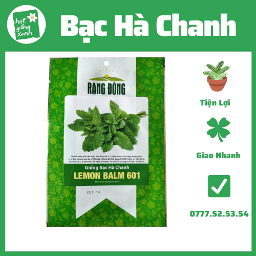 Bạc hà chanh (1g), rau gia vị, có mùi thơm nhẹ, dễ trồng