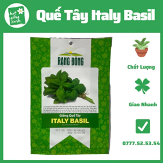 Húng Tây Basil Ý(1g), rau gia vị, dễ trồng nhanh thu hoạch