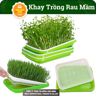 Bộ khay Trồng Rau Mầm, Giá Đỗ, D34xR25xC5cm, Tiện Lợi Dễ Trồng Tại nhà, Nhựa Nguyên Sinh, An Toàn, Độ Bền Cao - Nông Sản