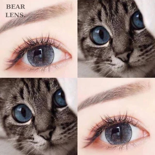 BEAR LENS 1 Cặp Kính Áp Tròng 0 Độ Mẫu Tommy Mắt Mèo Cực Hot