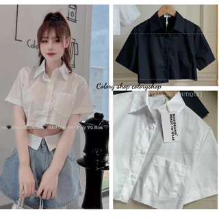 Áo sơ mi nữ tay ngắn croptop cổ bẻ lệch tà, sơ mi trắng nữ basic - Colory Shop