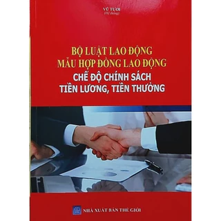 Sách - Bộ Luật Lao Động - Mẫu Hợp Đồng Lao Động - Chế Độ Chính Sách Tiền Lương, Tiền Thưởng