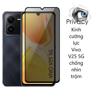 Kính cường lực Chống nhìn trộm Vivo Y16 Y22s Y35 Y36 Y55 T1x V25 5G