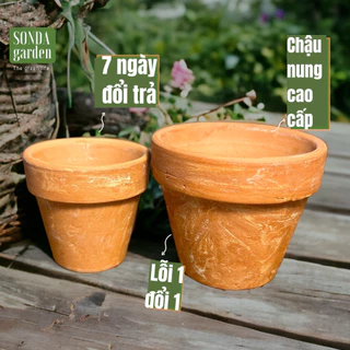 Chậu đất nung nâu vân trắng Lolita garden, lỗi 1 đổi 1, chậu sen đá đẹp