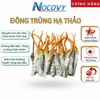 Đông Trùng Hạ Thảo Khô Sấy Thăng Hoa NOCOVY Nguyên Con Sâu Tằm Chứa Dược Chất Quý Giúp Ăn Ngon, Ngủ Sâu (35k/con).