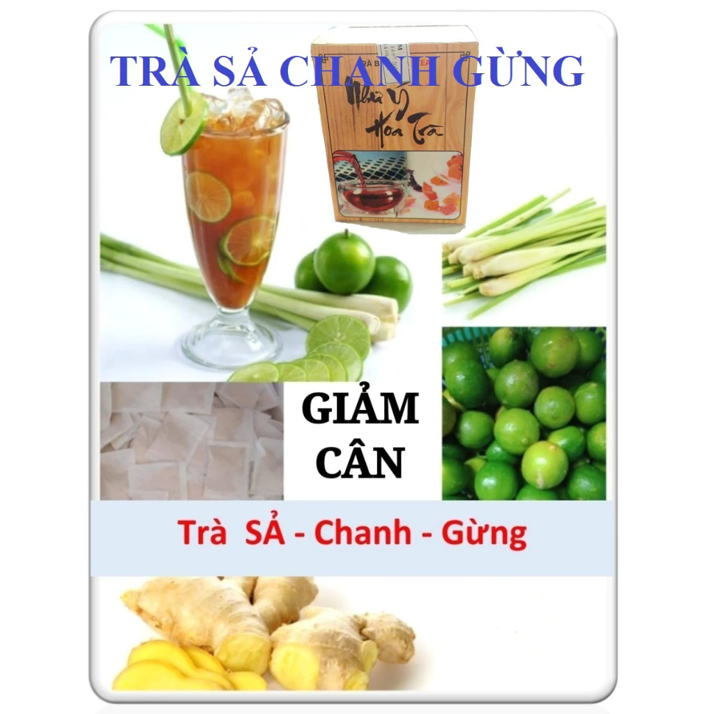 TRÀ Sả Chanh Gừng hộp 25 túi lọc/ 50 túi lọc giảm cân cực an toàn - Trà An Phương