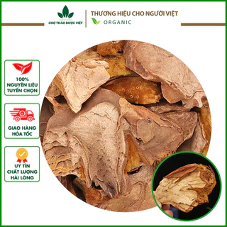 Cẩu tích, cây lông culi khô 100g mạnh gân cốt, tăng cường sức khỏe phái mạnh - Chợ Thảo Dược Việt