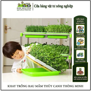 Khay Trồng RAU MẦM, GIÁ ĐỖ thủy canh thông minh 2 lớp