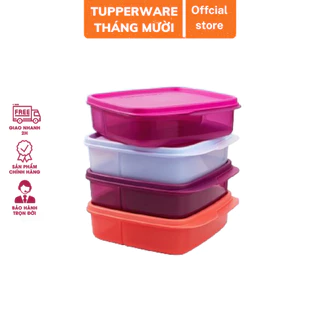 Hộp cơm chia ngăn Lolly Tupperware 550ml nhựa nguyên sinh