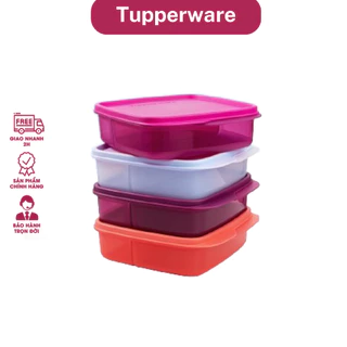 TUPPERWARE_Hộp cơm chia ngăn Lolly Tupperware 550ml nhựa nguyên sinh