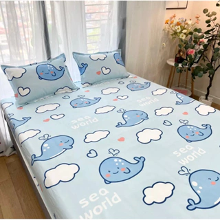 Bộ ga chun,bộ ga kèm 2 vỏ gối nằm Cotton poly giá rẻ,bền,đẹp