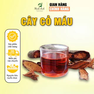 Cây Cỏ Máu Minh Anh - Cỏ Máu Nguyên Chất Giúp Bổ Máu, Tăng Cân, Khỏe Mạnh, Làn Da Đẹp Đối Với Mọi Lứa Tuổi