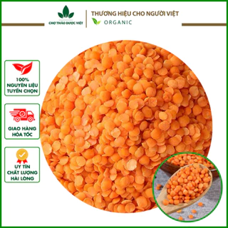 Đậu lăng đỏ hữu cơ 100g ( Hạt đậu lăng đỏ, hạt dinh dưỡng cho bé ăn dặm, tốt cho người ăn Keto)- Chợ Thảo Dược Việt