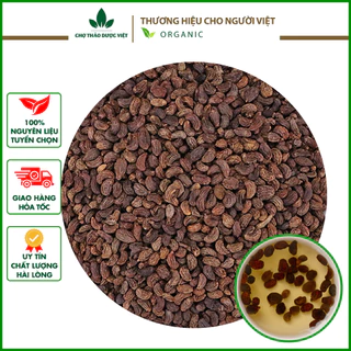 Nữ trinh trinh tử 500g (Khô, Sạch, Đẹp) - Chợ Thảo Dược Việt