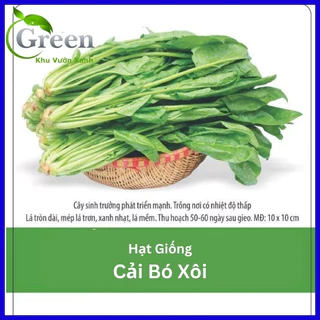 Hạt Giống Cải Bó Xôi F1 - Gói 20 Gam