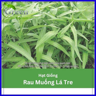 Hạt Giống Rau Muống Lá Tre Thái Lan (30 Gam)