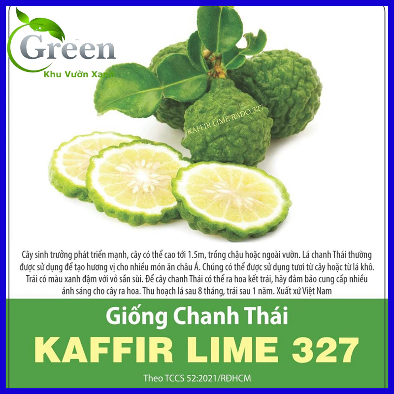 Hạt Giống Chanh Thái Chất Lượng Cao