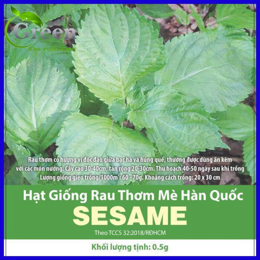 Hạt Giống Rau Thơm Mè Hàn Quốc (Lá Vừng)