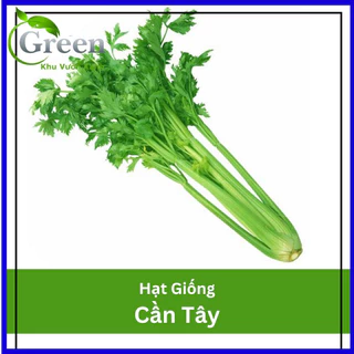 Hạt Giống Cần Tây Thera