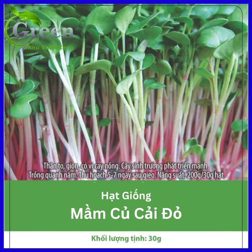 Hạt Giống Rau Mầm Củ Cải Đỏ - Gói 30 gam