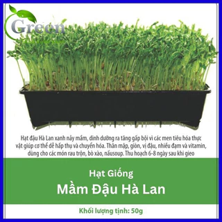 Hạt Giống Rau Mầm Đậu Hà Lan