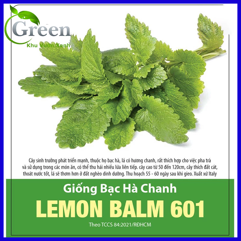 Hạt Giống Bạc Hà Chanh Lemon Balm (Tía Tô Đất)