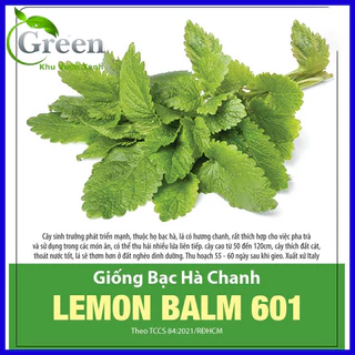 Hạt Giống Bạc Hà Chanh Lemon Balm (Tía Tô Đất)