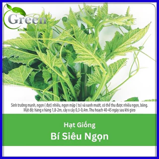 Hạt Giống Bí Siêu Ngọn F1 - 20 Gam