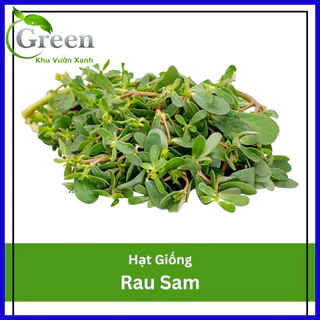 Hạt Giống Rau Sam