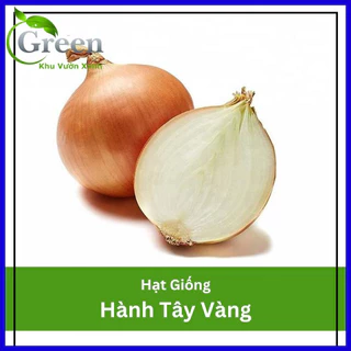 Hạt Giống Hành Tây Vàng