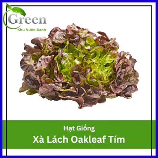 Hạt Giống Xà Lách Oakleaf Sồi Tím