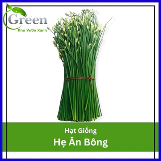 Hạt Giống Hẹ Ăn Bông