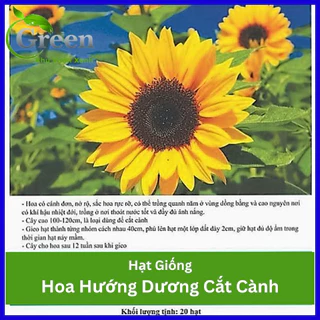 Hạt Giống Hoa Hướng Dương Cắt Cành