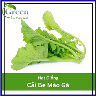 Hạt Giống Cải Bẹ Mào Gà 20 Gam