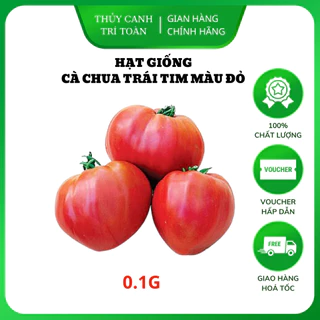 Hạt giống Cà Chua Trái Tim Đỏ, cơm dày, ngọt, thơm, trồng quanh năm (gói 0,1 gr) - Hạt giống Rạng Đông