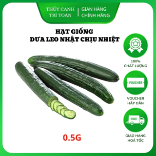 Hạt giống Dưa Leo Nhật chịu nhiệt, trái dài, giòn, ngọt, trồng quanh năm (gói 0,5 gr) - Hạt giống Rạng Đông