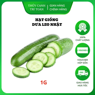 Hạt giống Dưa Leo Nhật lai F1 trái dài, giòn, ngọt, trồng quanh năm (gói 1gr) - Hạt giống Rạng Đông